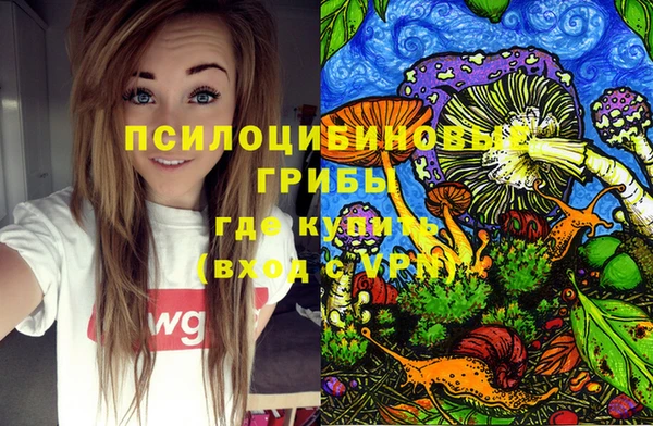 2c-b Баксан