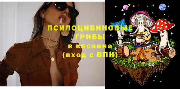 бошки Аркадак