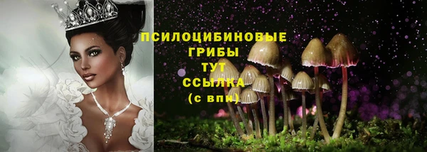 молекула духа Чердынь